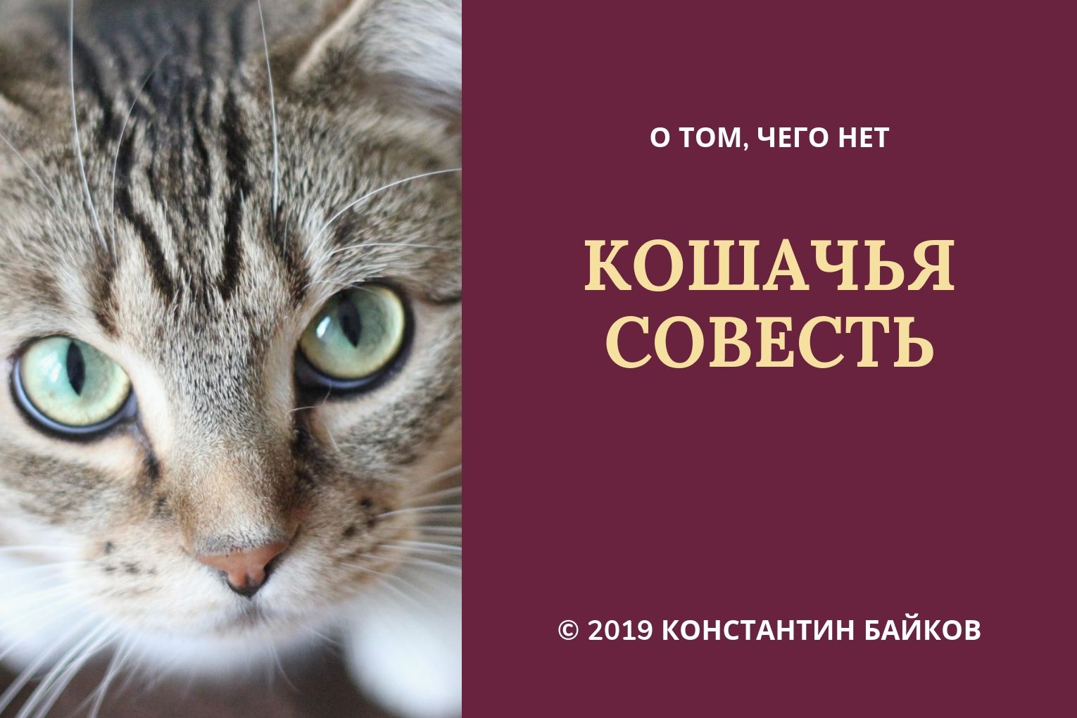 Совесть кота. Кошачья совесть. Совестливый кот. Кот и совесть юмор. Кот и совесть фото.