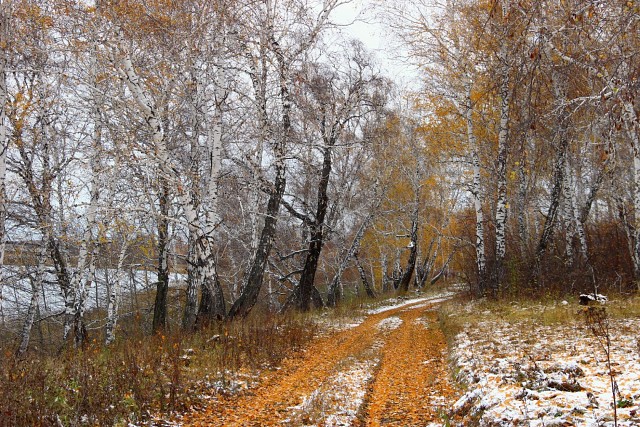 Финишировал октябрь наконец - то...