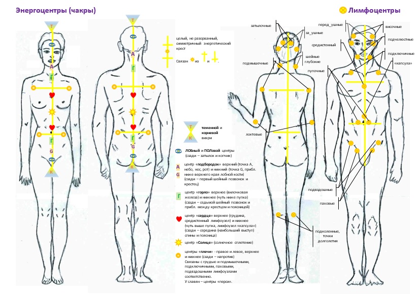 Расчет чакр. Эниология энергоцентры человека. Энергоцентры человека чакры. Расположение энергоцентров у человека. Вторичные энергоцентры.