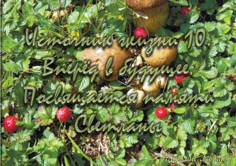 Генератор описания природы