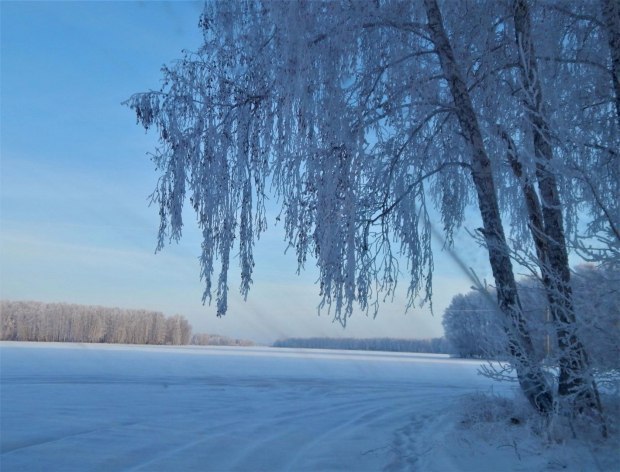 Воздух седой от мороза...