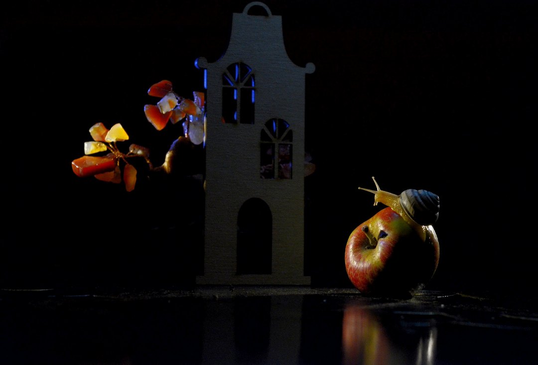 Вещательница