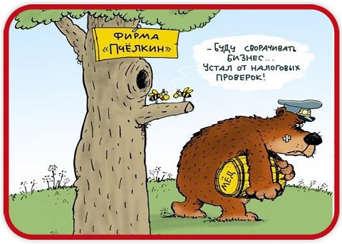 Лесная быль про Мишу и налоги