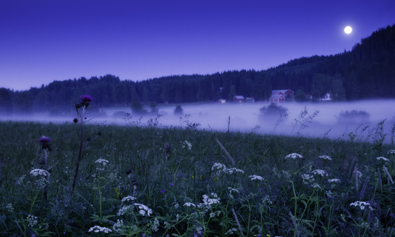 О счастье (Бенрика) / Проза.ру