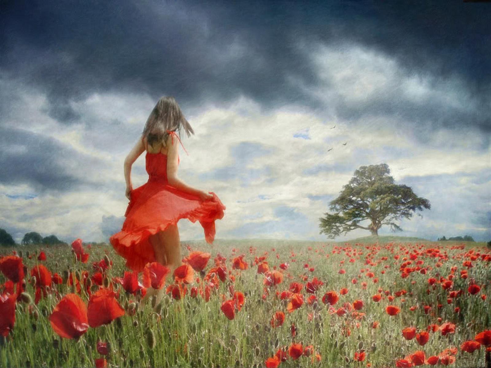Песня маки танец. Девушка в поле. Девушка в поле цветов. Девушка в цветочном поле. Девушка бежит по полю.