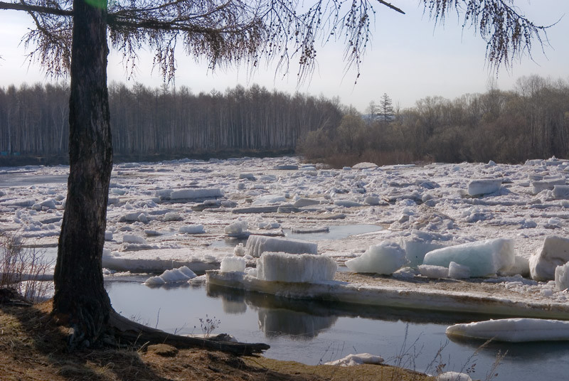 Ах, лед - разбитая посуда!