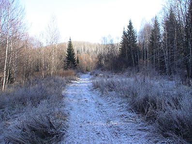 Генеральская охота на зайца