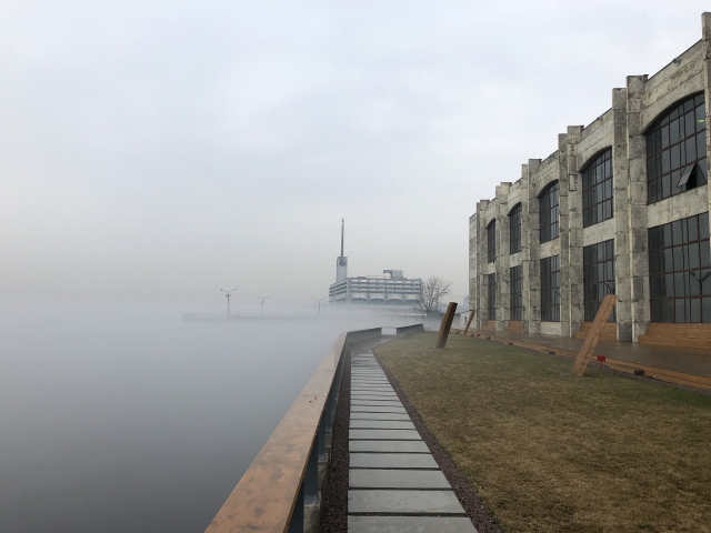 Парнокопытные киты