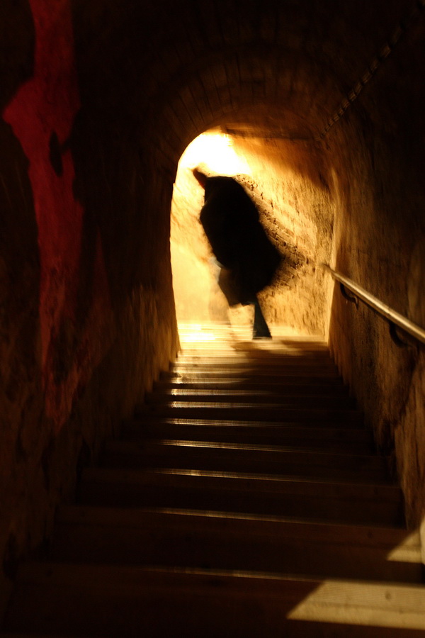 Я закрываю дверь и спускаюсь вниз. Лестница в подземелье. Лестница в подземелье вниз. Спуск в подземелье. Спускается в подвал.