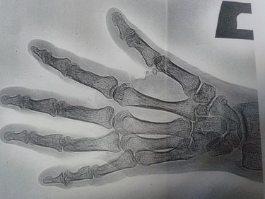 Всё в жизни от любви