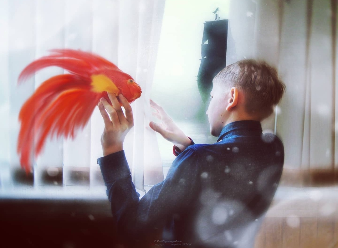 Курлыка и Ко