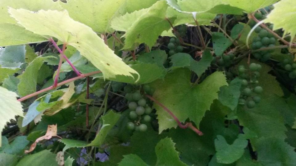 Зачем. глава 10 После