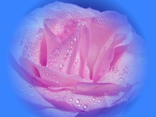 Зачем. Глава 12. Сны или Спешите