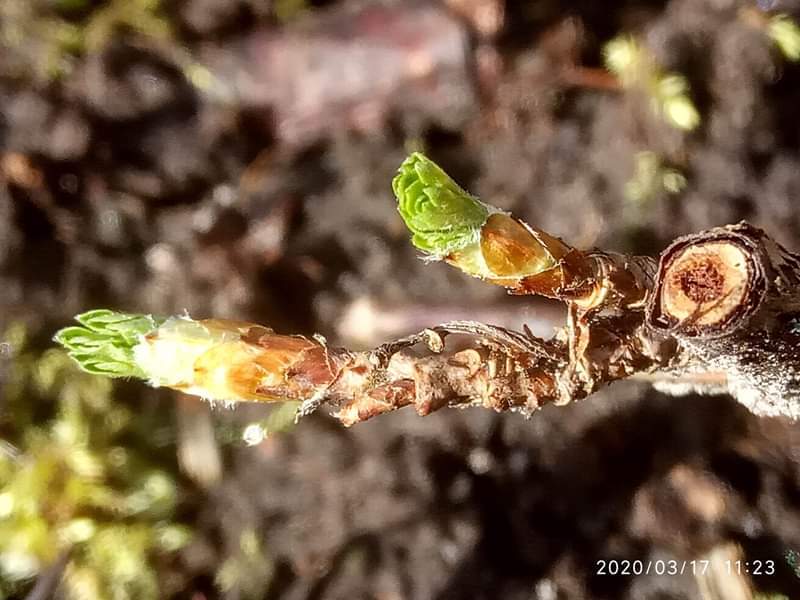 Зачем. Глава 14 Тайна Веры