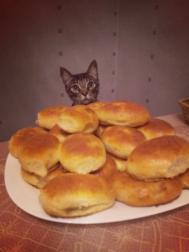 Пирог прикол