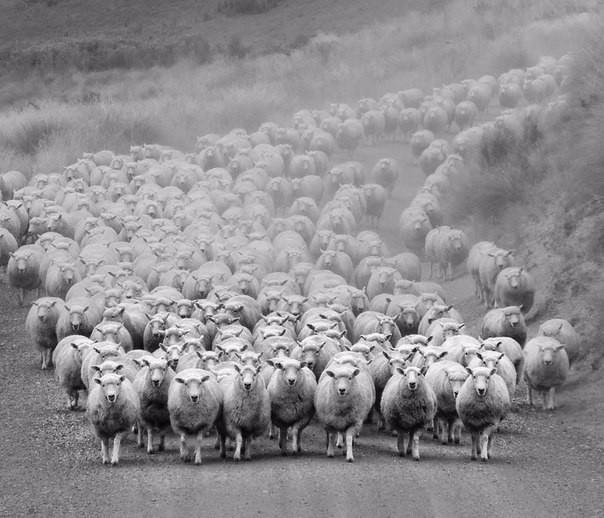 Сокращение населения. Правительство работает...