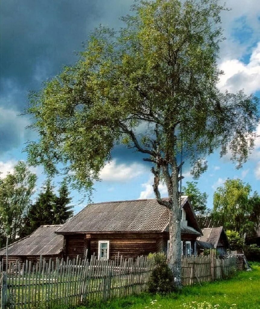 Письмо на деревню бабушке...