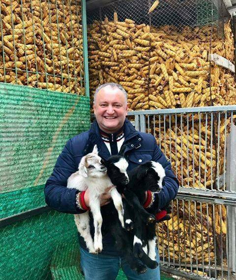 Как могли Президенты Мира подчиниться Шизикам?