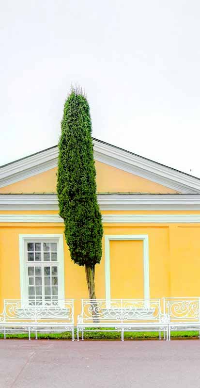 Конкорд (Миша Сомов) / Проза.ру