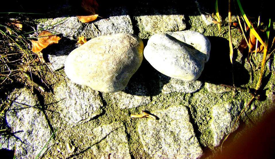 Предчувствие