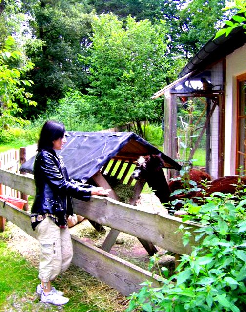 Первое впечатление