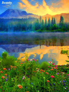 Летние отражения