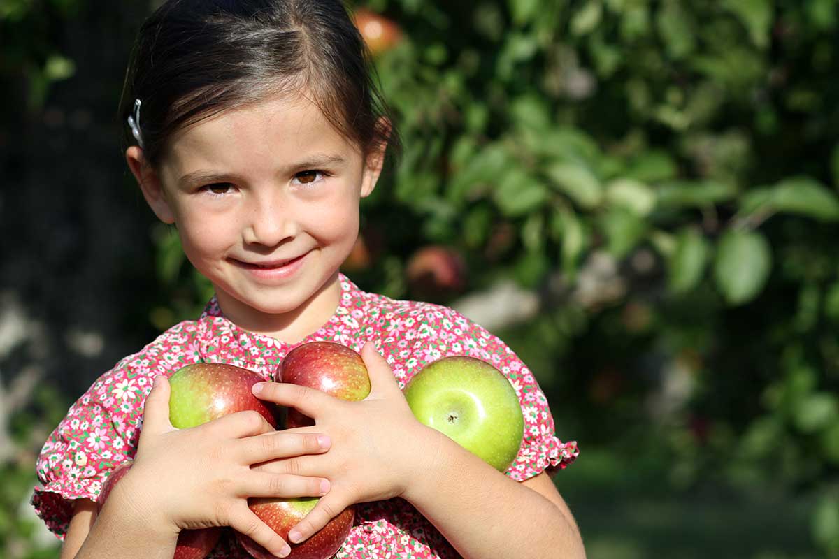 Плоды жизни дети. Девочка с яблоками. Угощает яблоком. Девушка угощает яблоками. Кушает яблоко.