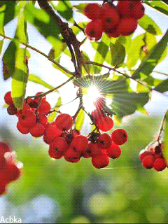 Прощание с летом