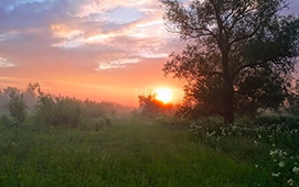 Утренний рассвет