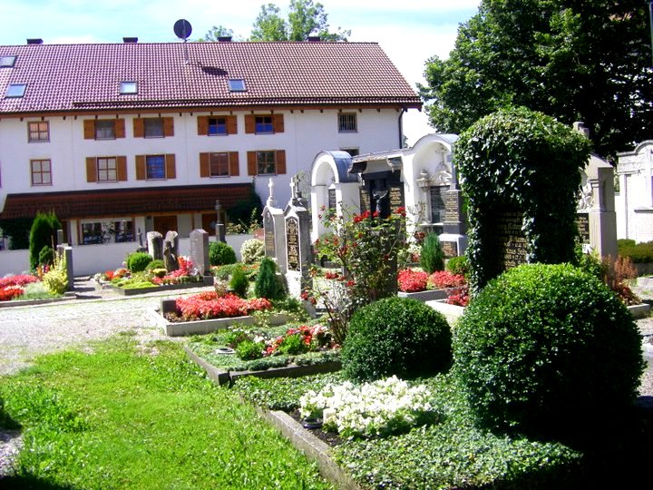 Федель и фейсбук