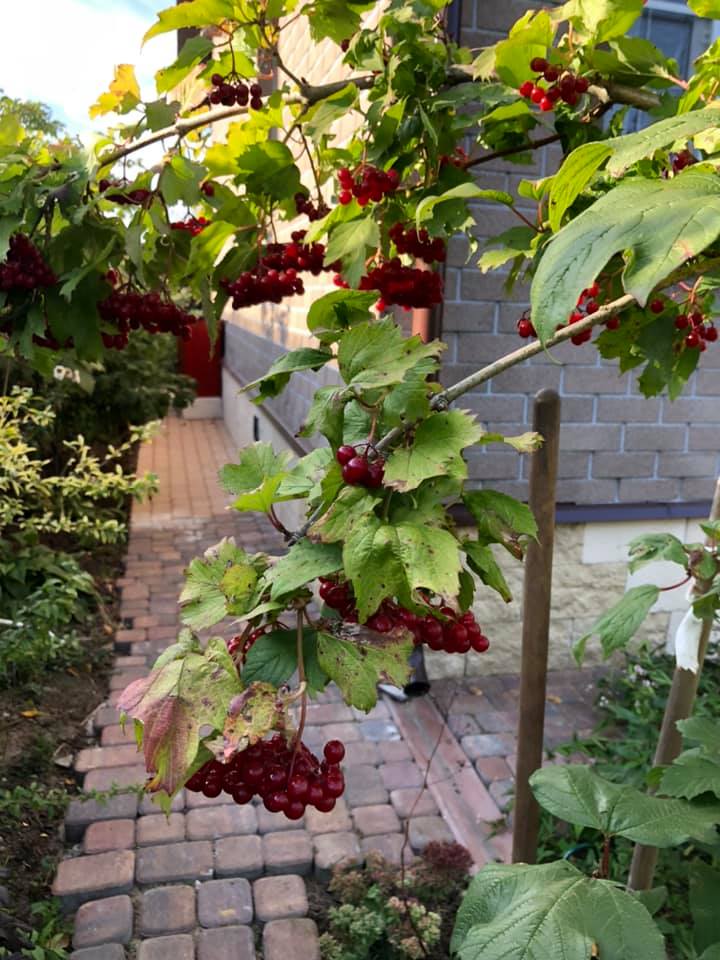 Помню эту женщину...