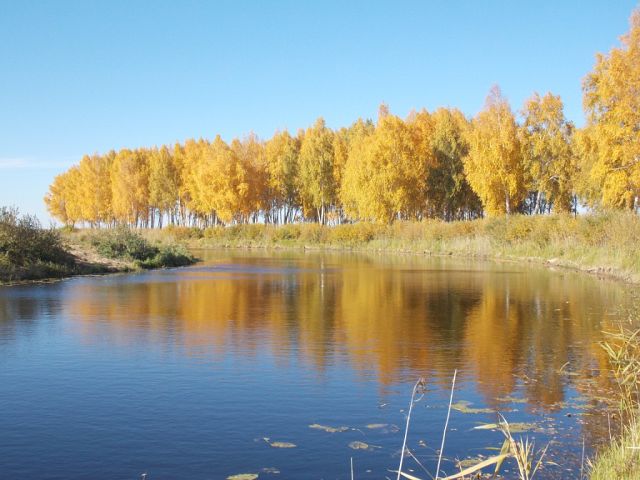 Деревня - часть природы! (Валерий Пономарев) / Проза.ру