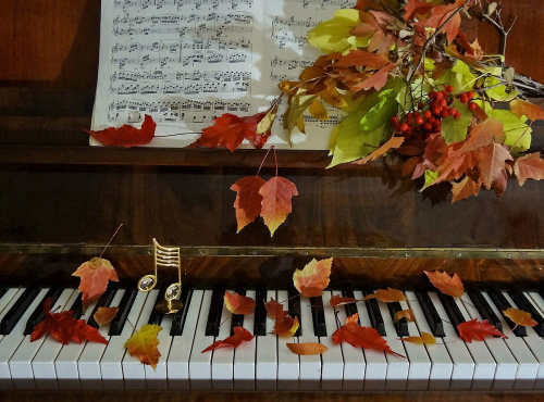 Для фортепьяно и страстей