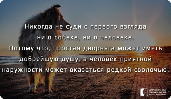 Ни взгляда. Никогда не суди человека. Никогда не судите о человеке. Цитаты никогда не судите. Никогда не суди с первого взгляда.