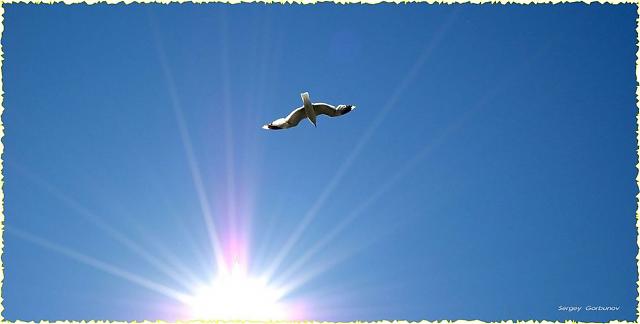 Человек не может не думать