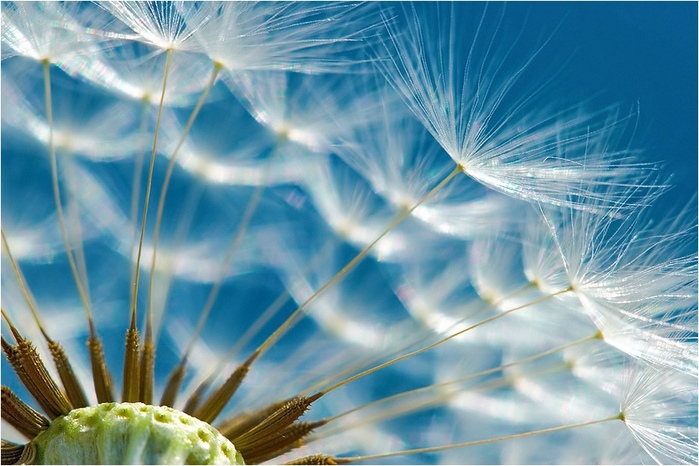 зарисовки Хакубоси