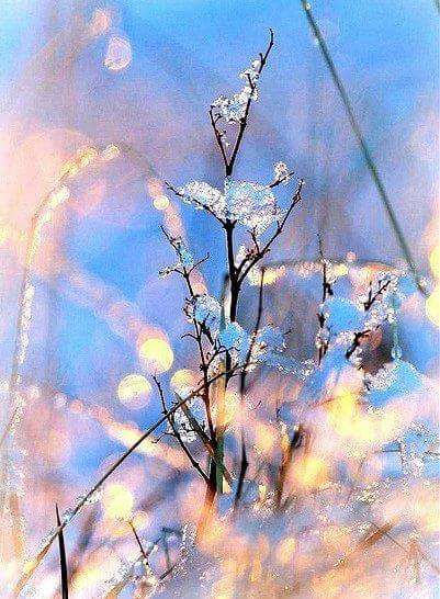 Велесова ночь