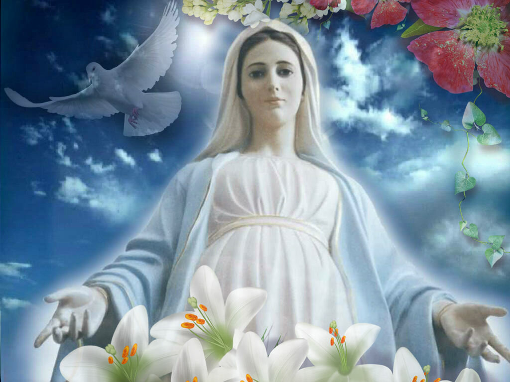 Божьи картинки. Мать Мария Богородица. Царица Небесная Покрова Святой Богородицы. Богородица в белом одеянии. Дева Мария в белом одеянии.