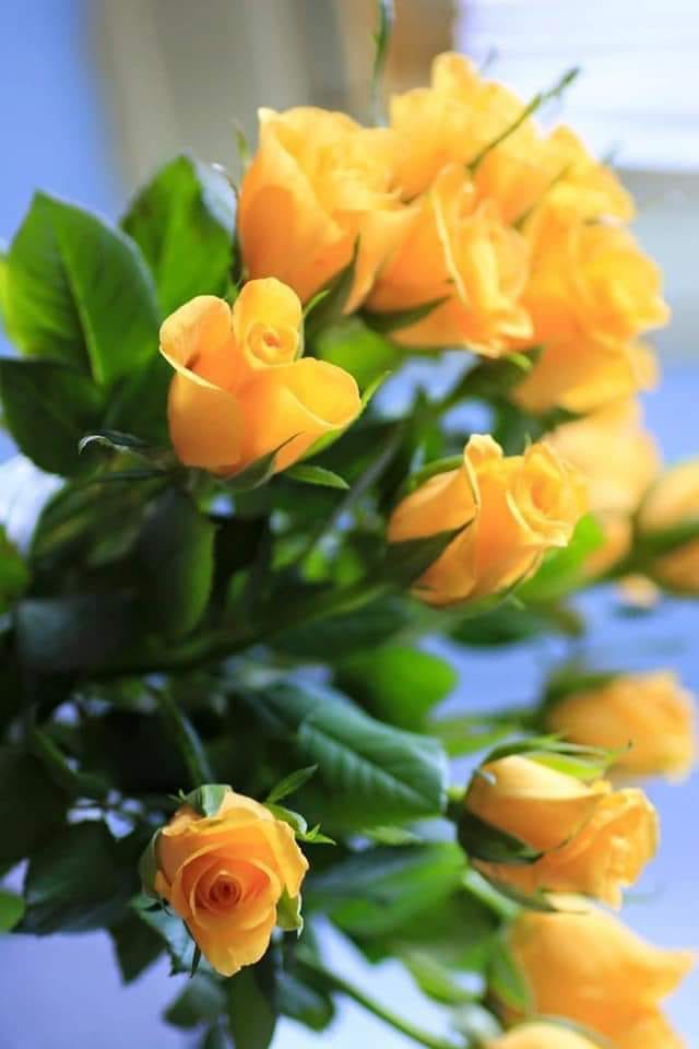 Зачем. Глава 27 Мария