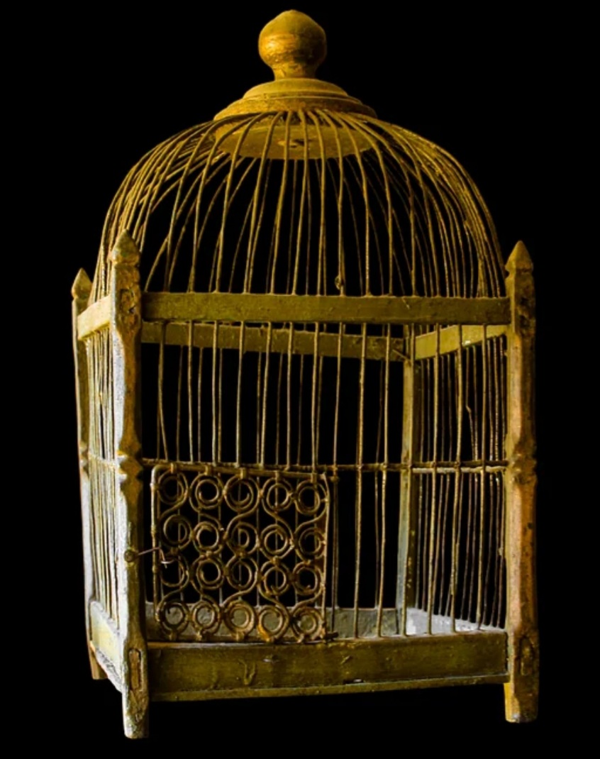 Самая древняя клетка. Золотая клетка 1908. Птица в золотой клетке. Старинная клетка для птиц.