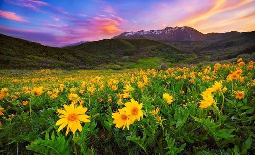 Зачем. Глава 28 Узелок или Из ямы