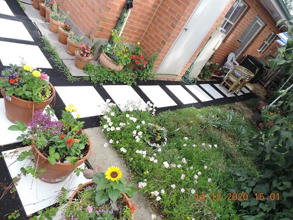 Свобода и Мой Размер Шагов по Жизни Runtu Uri