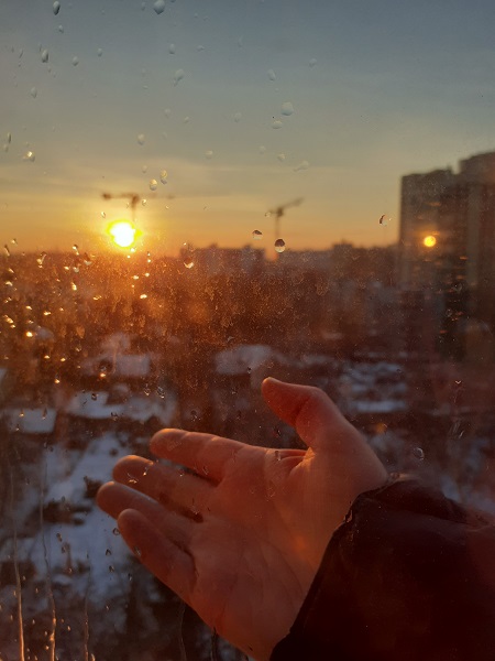 Мы всегда тянемся к солнышку (Гая Крылатая) / Проза.ру