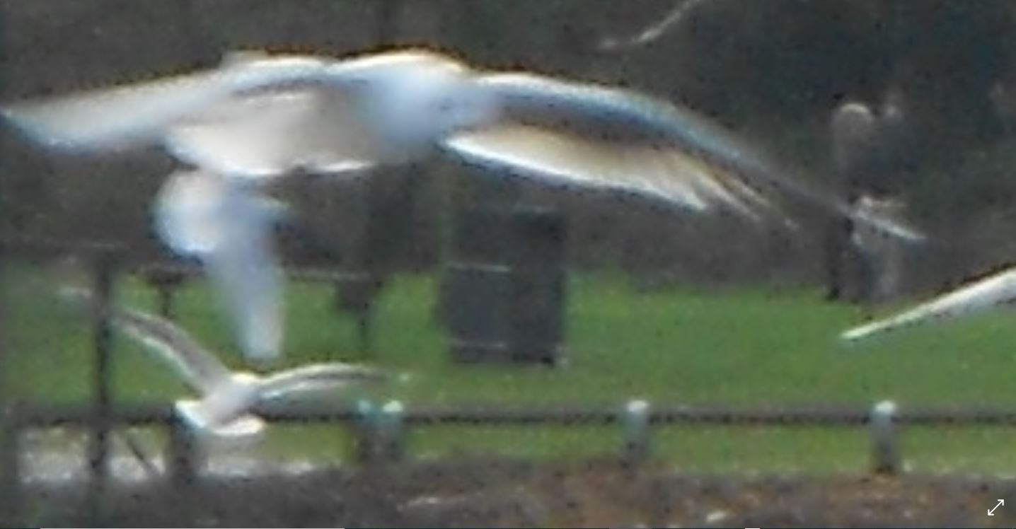 Озеро, фото15