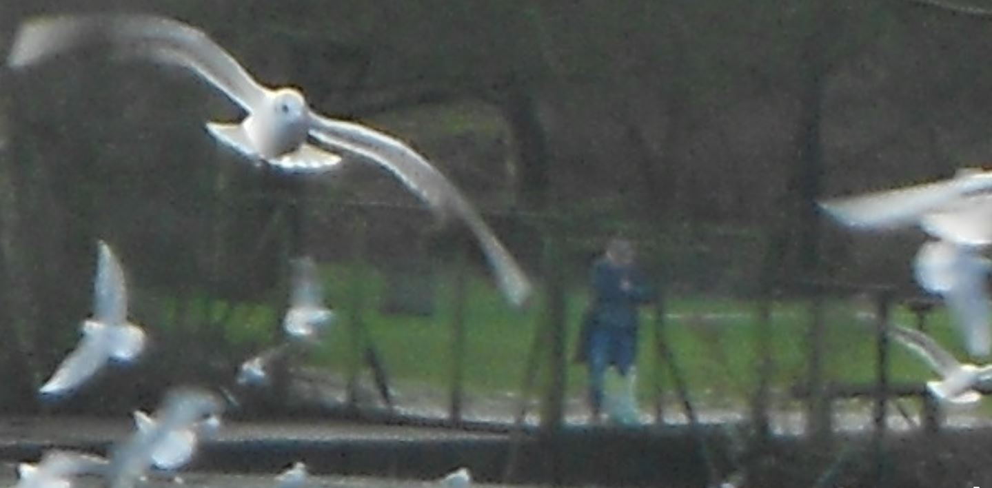 Озеро, фото20