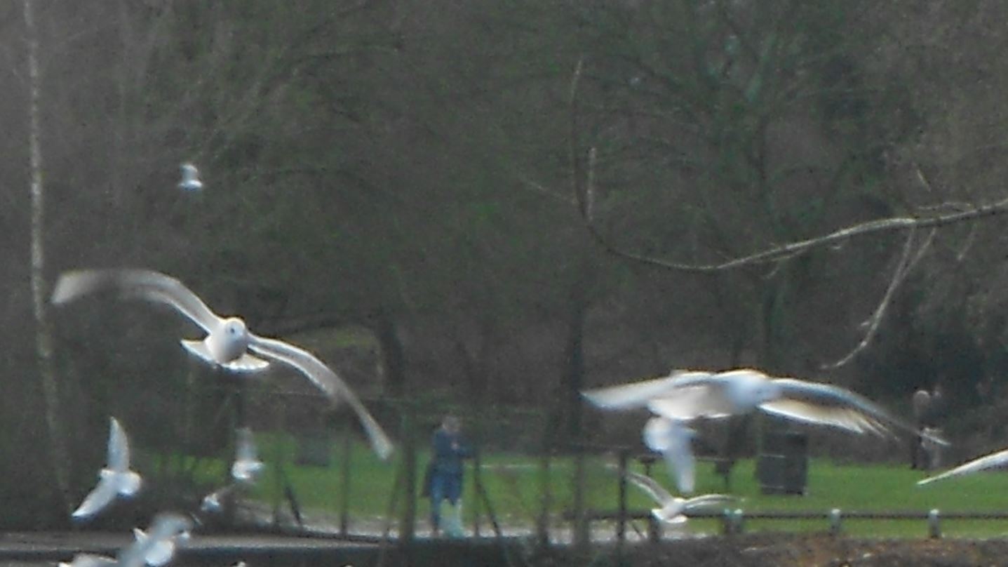 Озеро, фото23