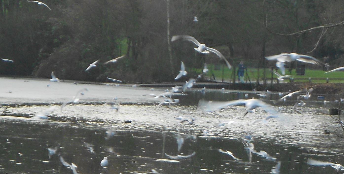 Озеро, фото21