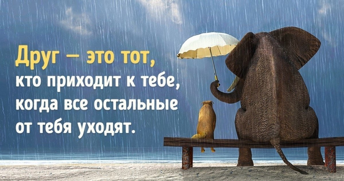 Картинки о дружбе со смыслом с надписями