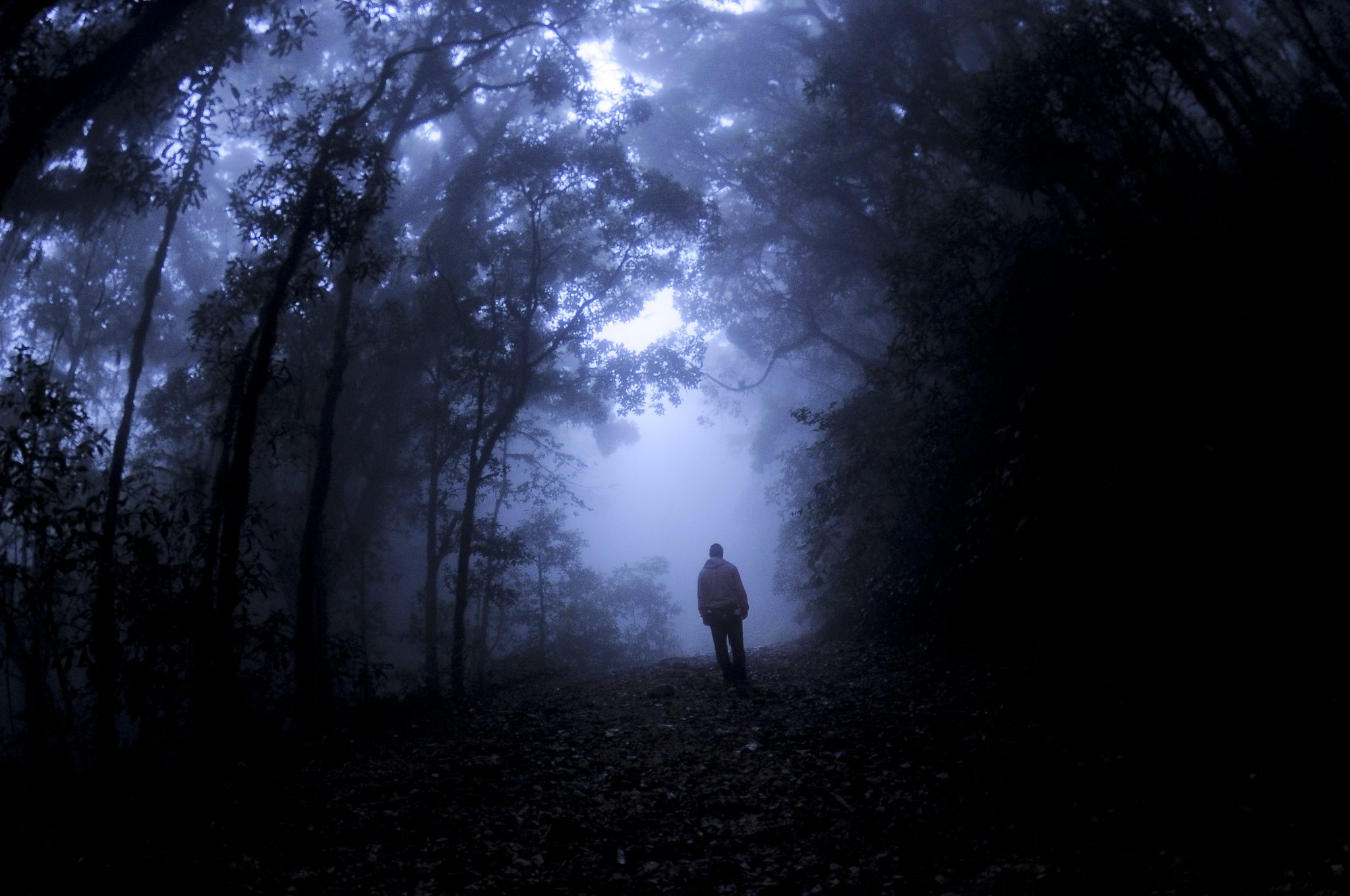 Темно глупый. Человек в лесу ночью. Человек в ночном лесу. Человек в темном лесу. Парень в темном лесу.