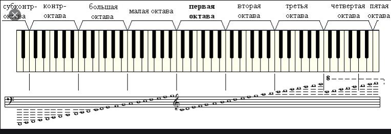 Расположение нот на фортепиано схема Музыкальные ноты - по новому. Миниатюра (Петр Сюткин) / Проза.ру